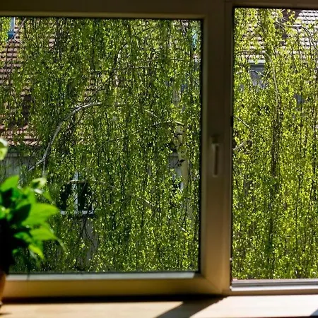 Roentgena 12 - Przestronny I Stylowy, Zielona Ulica W Centrum
