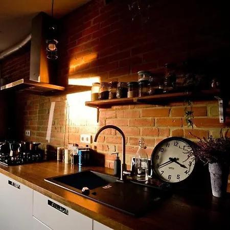 Apartamento Roentgena 12 - Przestronny I Stylowy, Zielona Ulica W Centrum