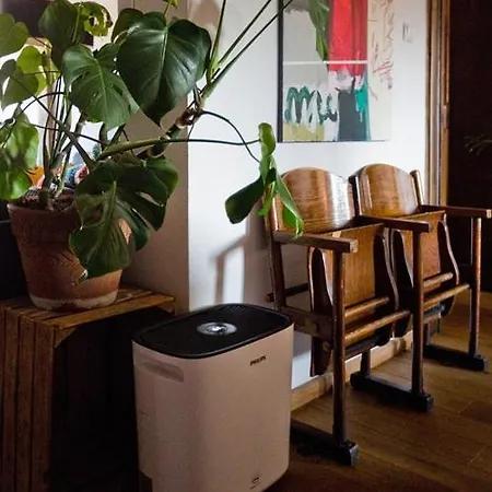 Apartamento Roentgena 12 - Przestronny I Stylowy, Zielona Ulica W Centrum Wrocław